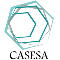 Corsarios, asesores y servicios s.a. de c.v.