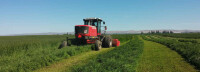 Anderson hay & grain co., inc.