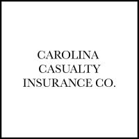 Carolina casualty insurance group, llc