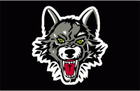 Chicago wolves