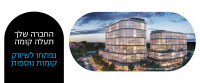 Acrocampus