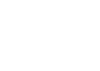 Anseris consulting