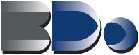 Bdo say projects & team