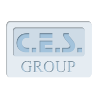 Ces group