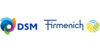 Dsms s.a