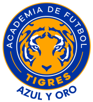 Academia tigres