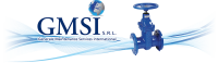 Gmsi srl