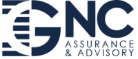 Grupo nc auditores y asesores de negocio, s.l.
