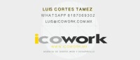 Icowork agencia de diseño web
