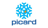 L. picard soluciones financieras