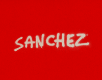 Santiago sánchez social photographer