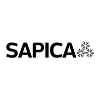 Sapica