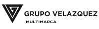Grupo velazquez solis
