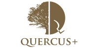 Quercus soluciones comerciales sa de cv
