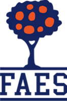 Faes milano