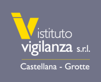 His vigilanza srl