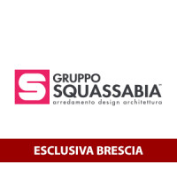 Gruppo squassabia