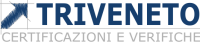 Triveneto srl