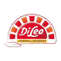Di leo pietro s.p.a.