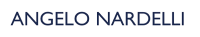 I.t.n. s.p.a. (angelo nardelli)
