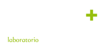 More laboratorio di organizzazione
