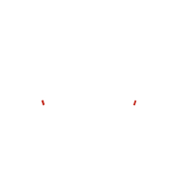 Pollo & friends retail s.r.l.