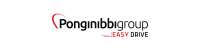 Ponginibbi group