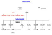 Progra srl