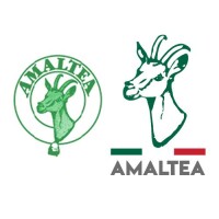 Amaltea