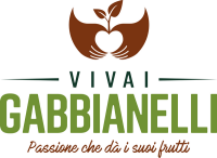 Vivai piante pantanelli
