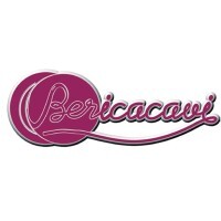 Berica cavi s.p.a.