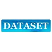 Dataset inc.
