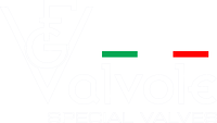 Fg valvole s.r.l.