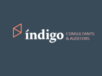 Indigo srl