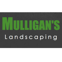 Mulligan's Landscape