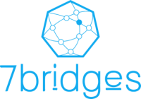 7bridges s.r.l.