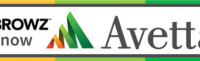 Aveta s.p.a.