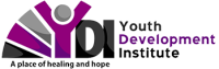 Youth development institute