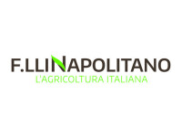 Fratelli napolitano