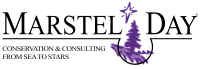 Marstel-day, llc