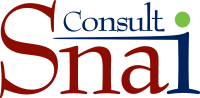 Snai consult ltd.