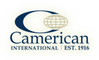 Camerican international inc