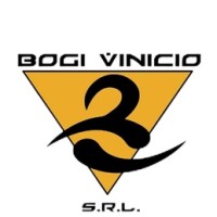 Bogi vinicio s.r.l.