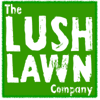 Lush lawn