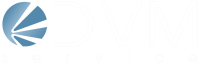 Dvm service s.r.l.