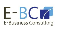 Elleffegi consulting srl