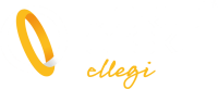 Ellegi service srl