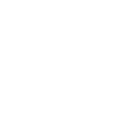 Fenicetek
