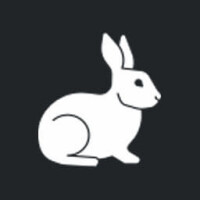 White rabbit