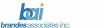 Brandes associates, inc.